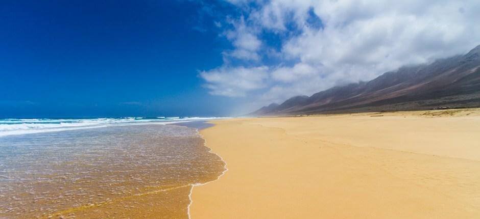 Playa de Cofete + Orörda stränder på Fuerteventura