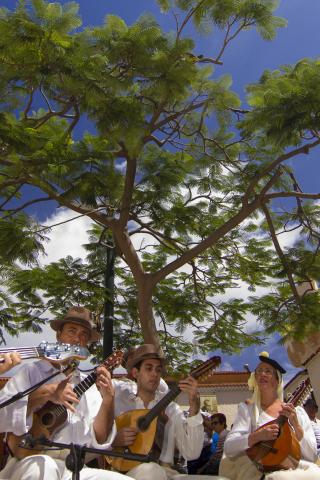 202408_bailedemagofrontera