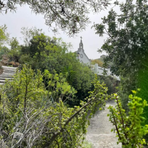 fiestas_carmen_las_goteras