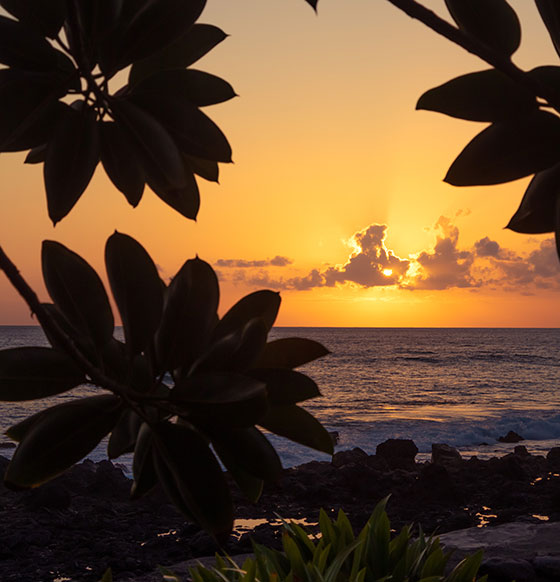  atardecer Valle Gran Rey - La Gomera