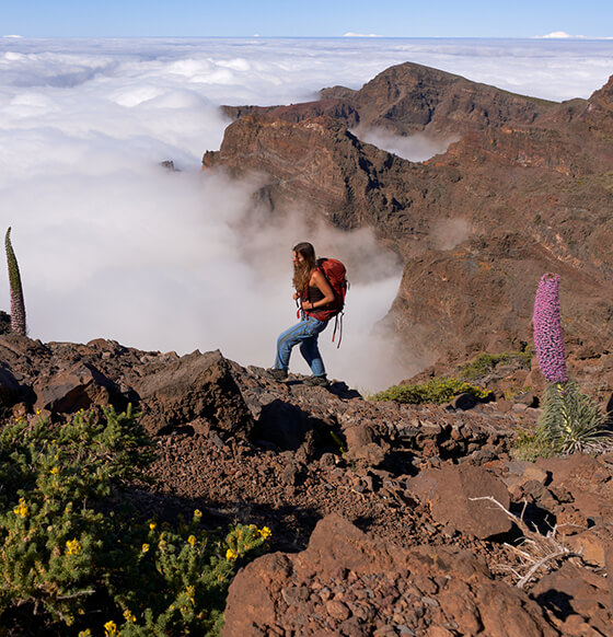 Excursión en coche al Roque de Los Muchachos en La Palma - listado