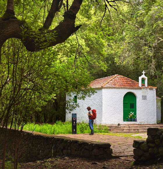 Senderismo por el corazón de La Gomera - listado