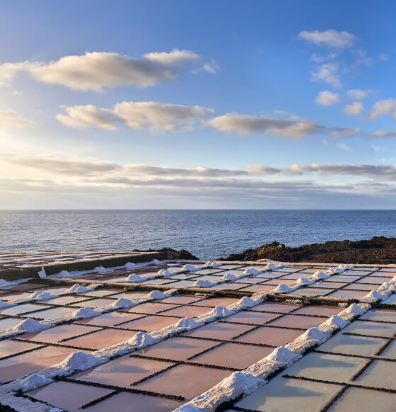 Salinas de Fuencaliente