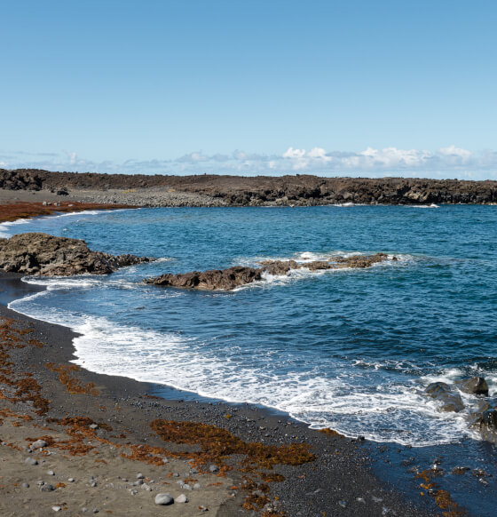 Playa de Las Malvas