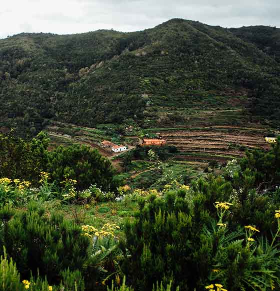 Caserío La Palmita