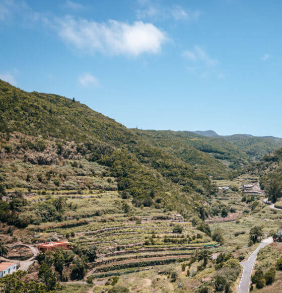 Barranco de la Palmita