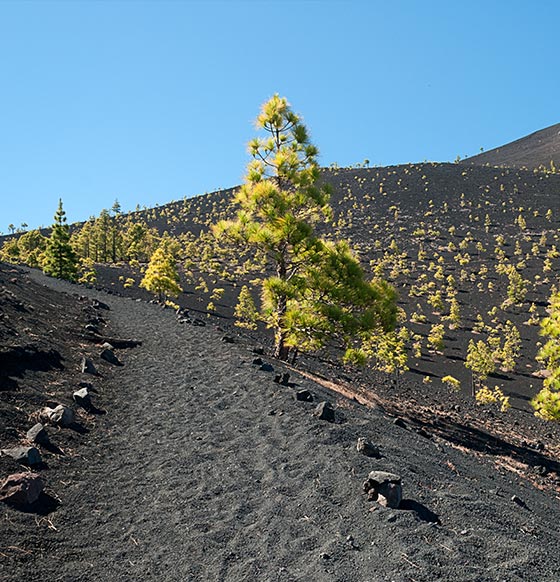 Ruta BTT en La Palma - listado