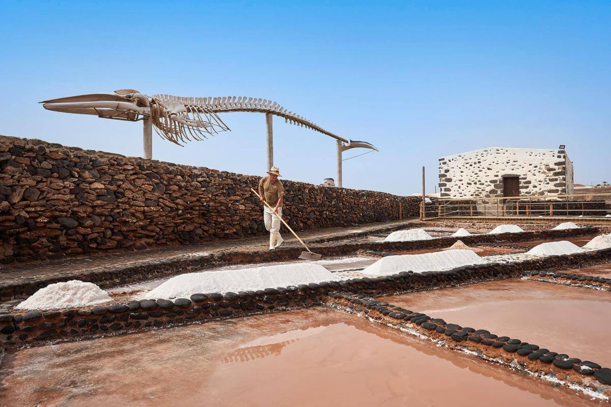 Caleta de Fuste, Museo de La Sal, Gran Tarajal, Parque Natural de Jandía - galeria1