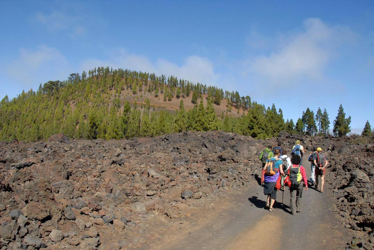 Excursión hasta el pico del Parque Nacional del Teide - galeria5