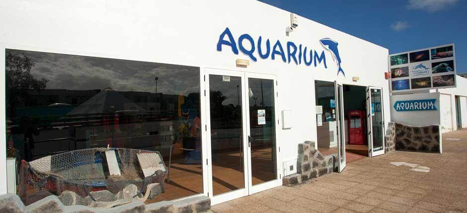 Aquarium Akvarier på Lanzarote 