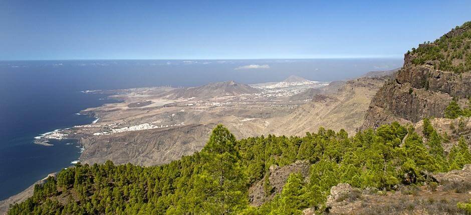 Tamadaba–Bajada de Faneque + Senderos de Gran Canaria
