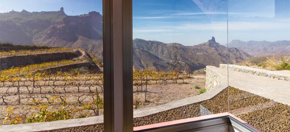 Bodega Bentayga på Gran Canaria