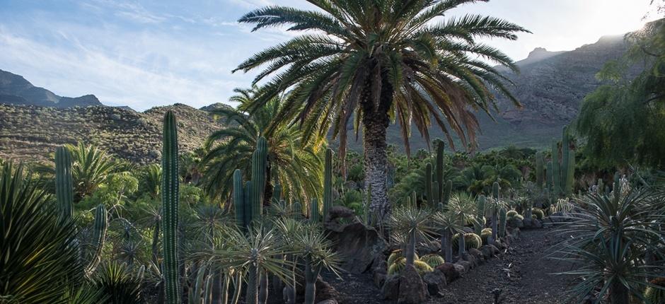 Cactualdea Park Museer och turistcenter på Gran Canaria