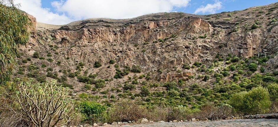 Caldero de Bandama + Vandringsleder på Gran Canaria