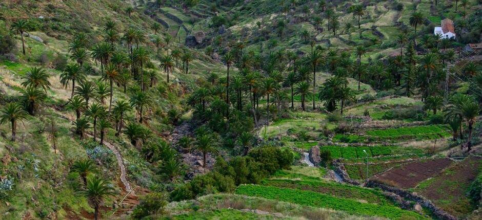 Imada caseríos de La Gomera