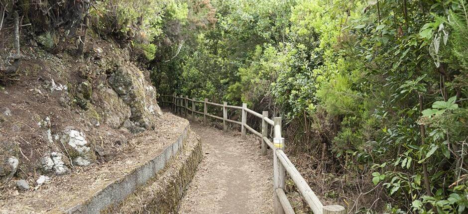 Cubo de la Galga. Senderos de La Palma