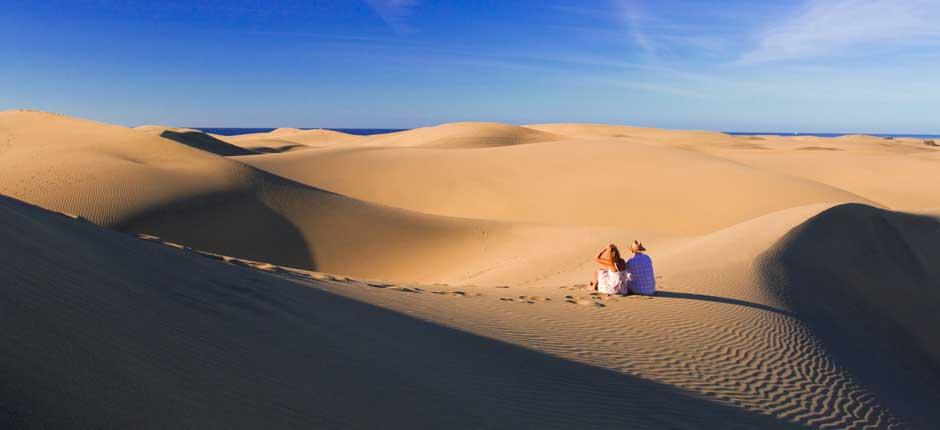 Reserva Natural Especial de las Dunas de Maspalomas, en Gran Canaria