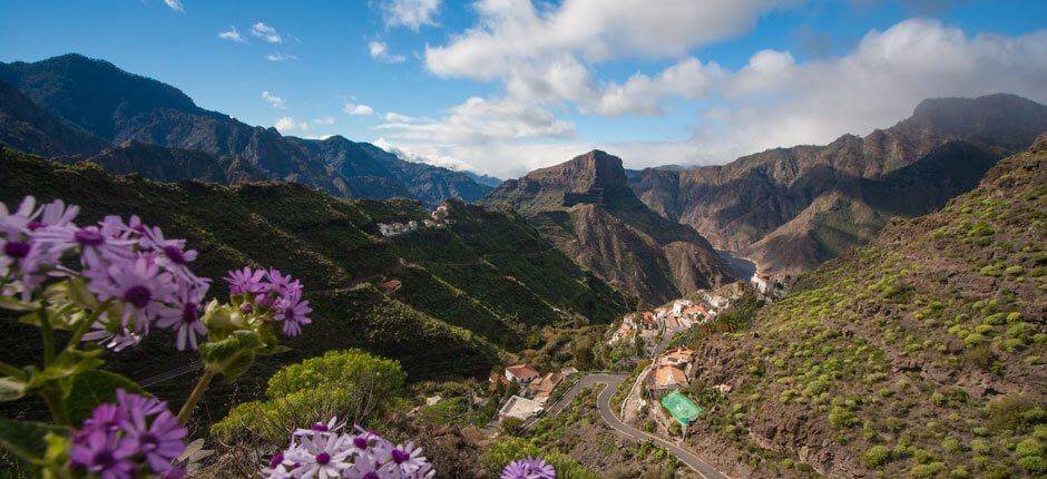 El Carrizal de Tejeda – Gran Canaria – Caseríos