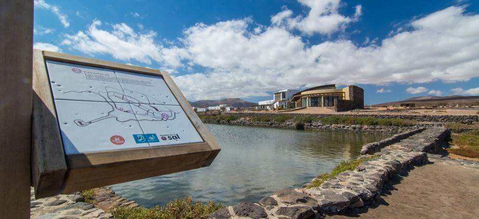 Museo de la Sal Muséer på Fuerteventura