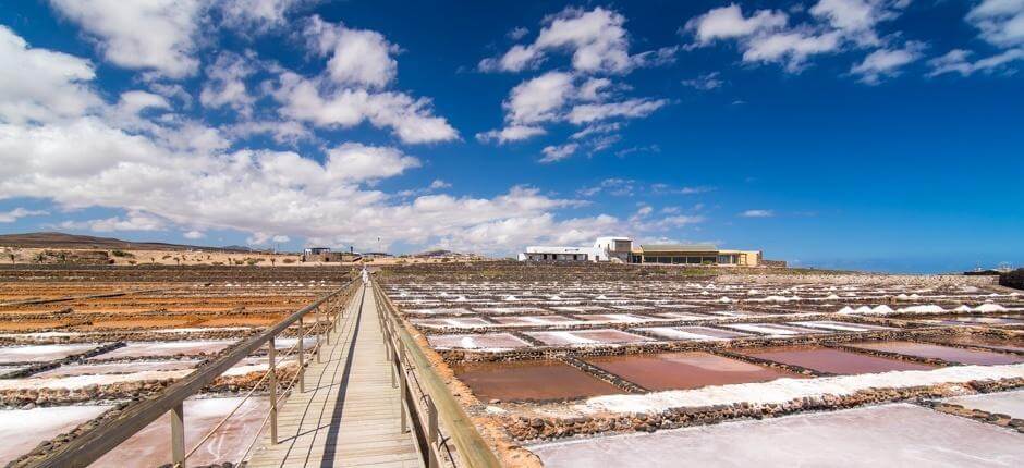 Museo de la Sal Muséer på Fuerteventura