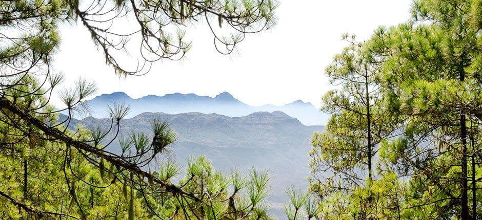 Klättring i Tamadaba Klättring på Gran Canaria