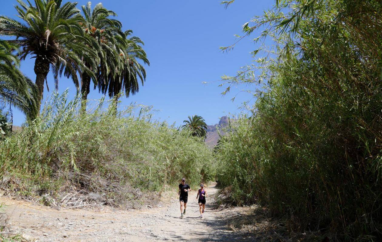 Garañón - Maspalomas-Trail