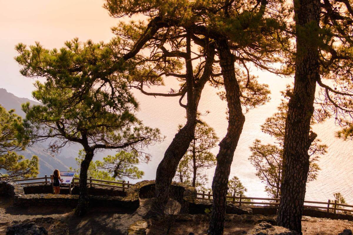 Mirador de las Playas