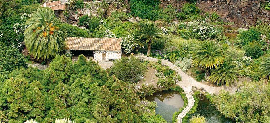 Viera y Clavijo botanisk trädgård Muséer och turistcenter på Gran Canaria