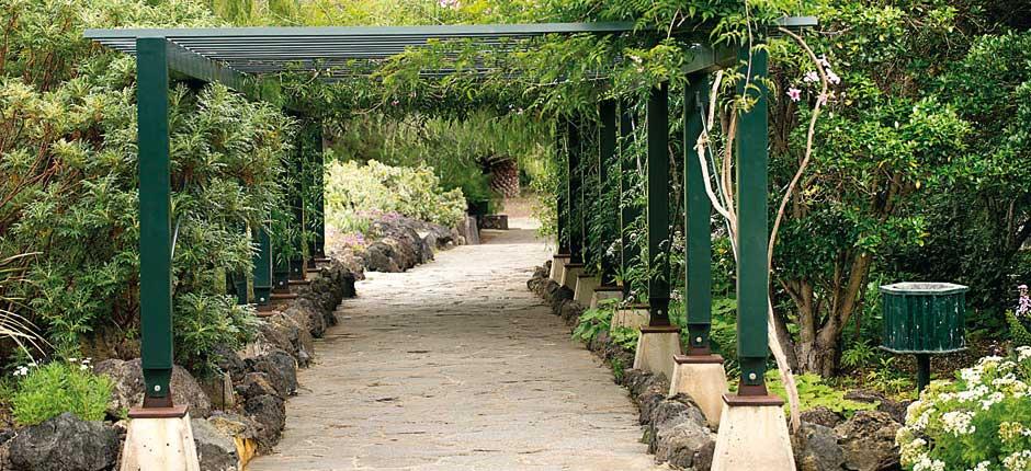 Viera y Clavijo botanisk trädgård Muséer och turistcenter på Gran Canaria