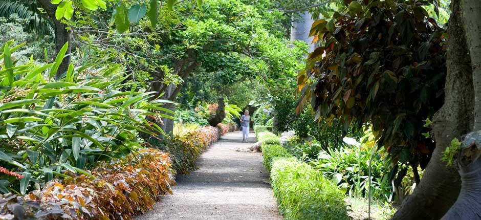 Jardín de Aclimatación de La Orotava Muséer och turistcenter på Teneriffa