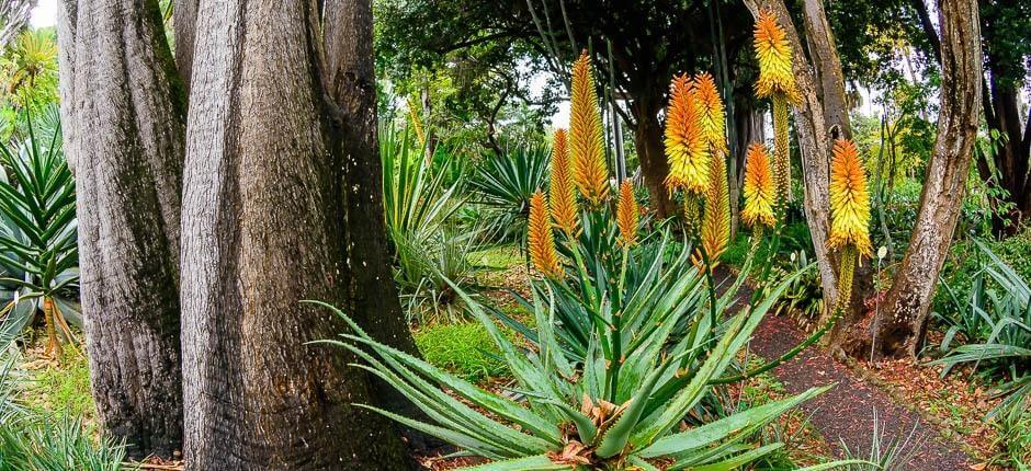 Jardín de Aclimatación de La Orotava Muséer och turistcenter på Teneriffa