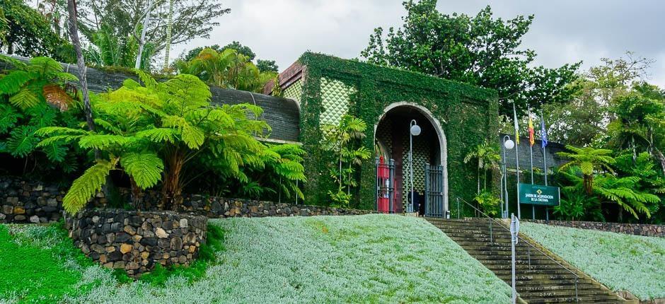 Jardín de Aclimatación de La Orotava Muséer och turistcenter på Teneriffa