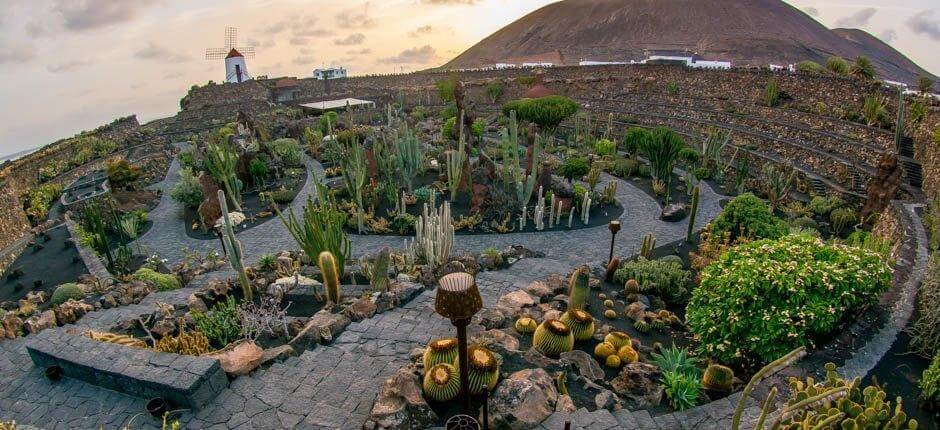 Kaktusträdgård Muséer och turistcenter på Lanzarote