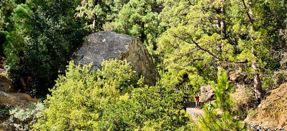 Caldera de Taburiente. Senderos de La Palma