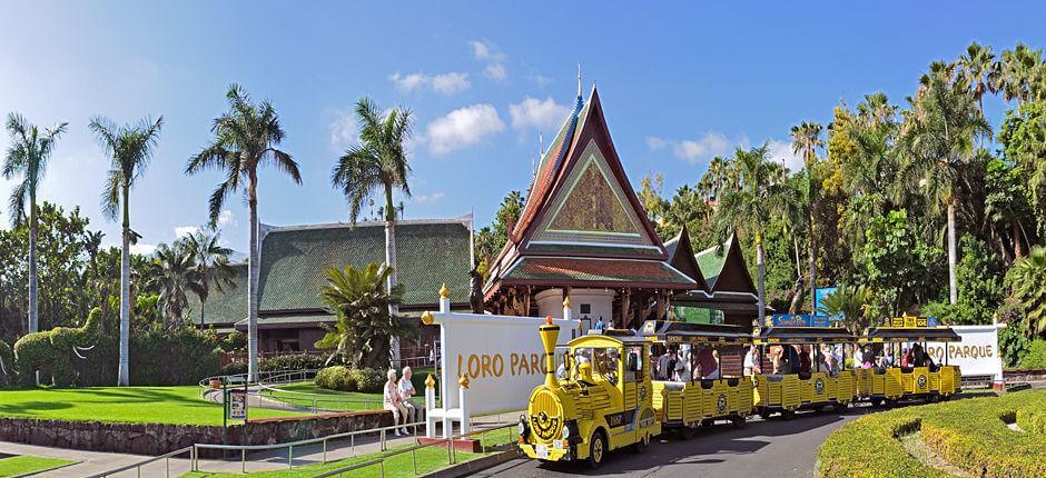 Loro Parque Djurparker på Teneriffa