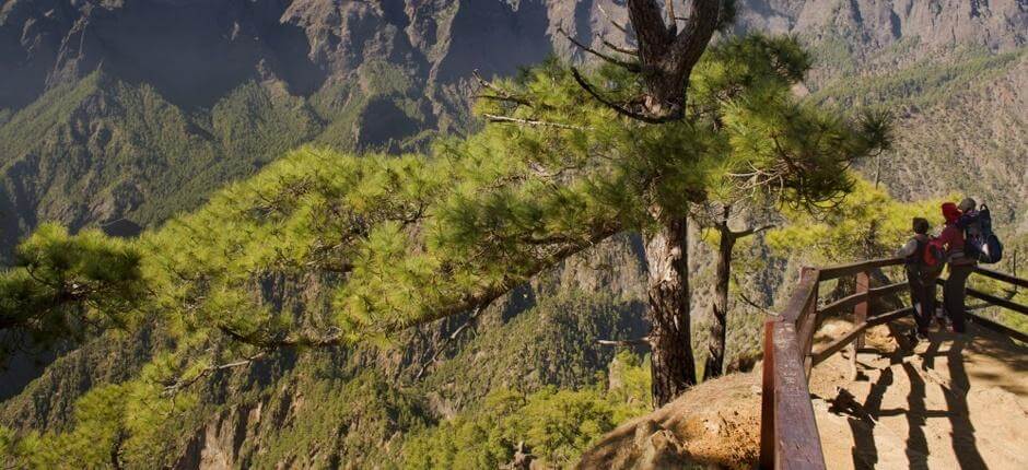 La Cumbrecita utsiktsplats på La Palma