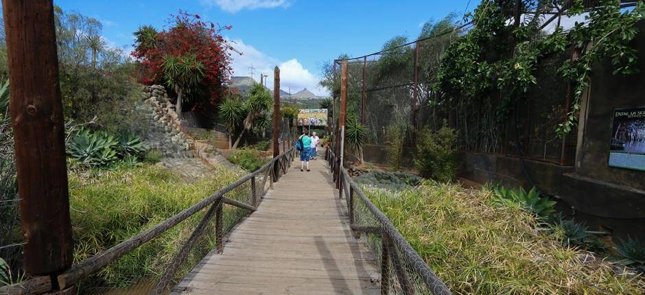 Monkey Park Tenerife Djurparker på Teneriffa