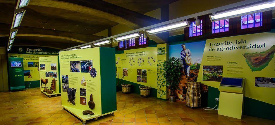 Casa del Vino y la Miel Muséer och turistcenter på Teneriffa