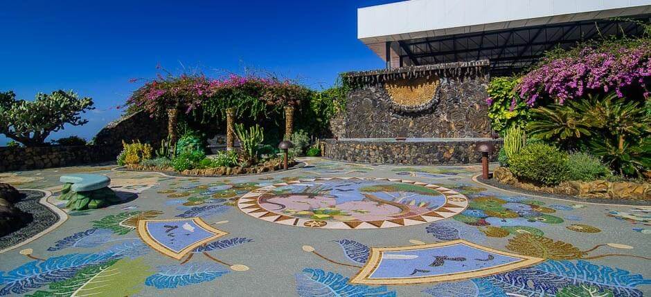 Museo del Vino de La Palma + Vinkällare på La Palma
