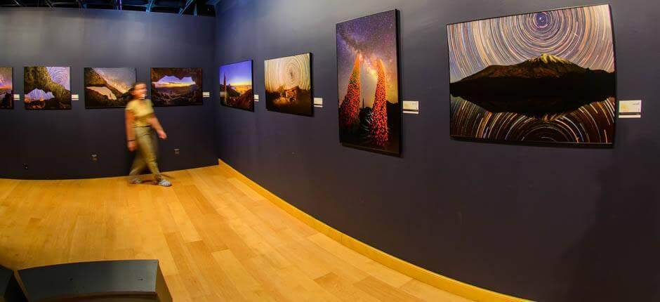 Elder-muséet Muséer på Gran Canaria