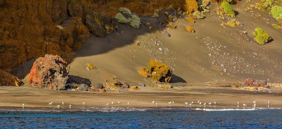 Playa de Antequera + Orörda stränder
