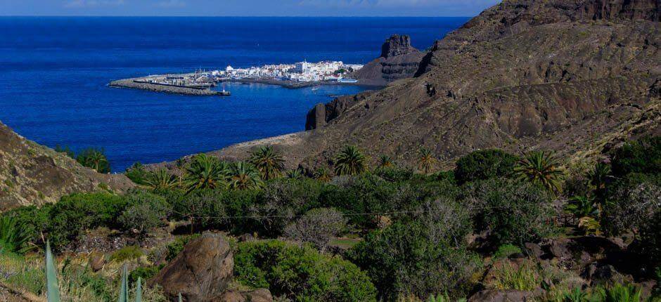 Playa Guayedra + Orörda stränder på Gran Canaria