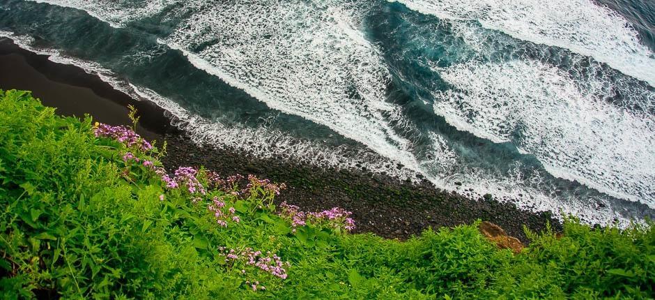 Playa de Los Patos + Orörda stränder på Teneriffa