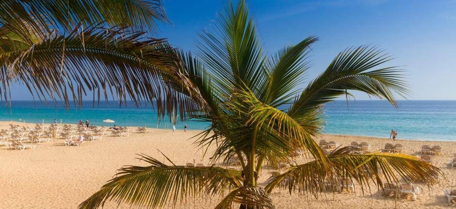 Playa de Morro Jable Populära stränder på Fuerteventura