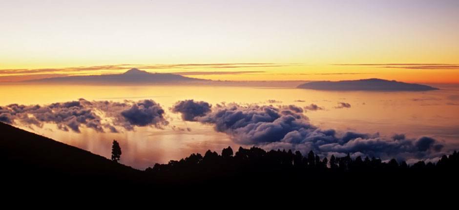 MTB-led på La Palma MTB-leder på La Palma