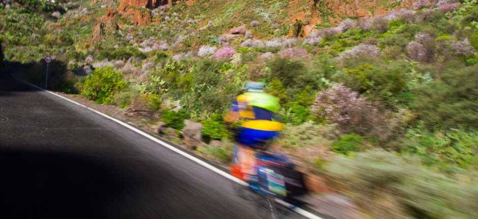 Ruta en bici del norte al centro de Gran Canaria Rutas en bici en Gran anaria