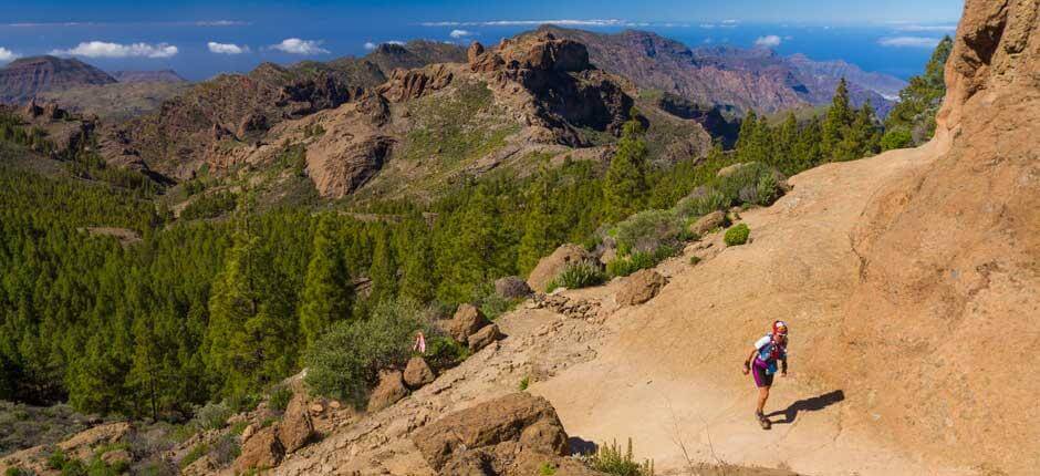 Traillöpning på Gran Canaria, Traillöpning