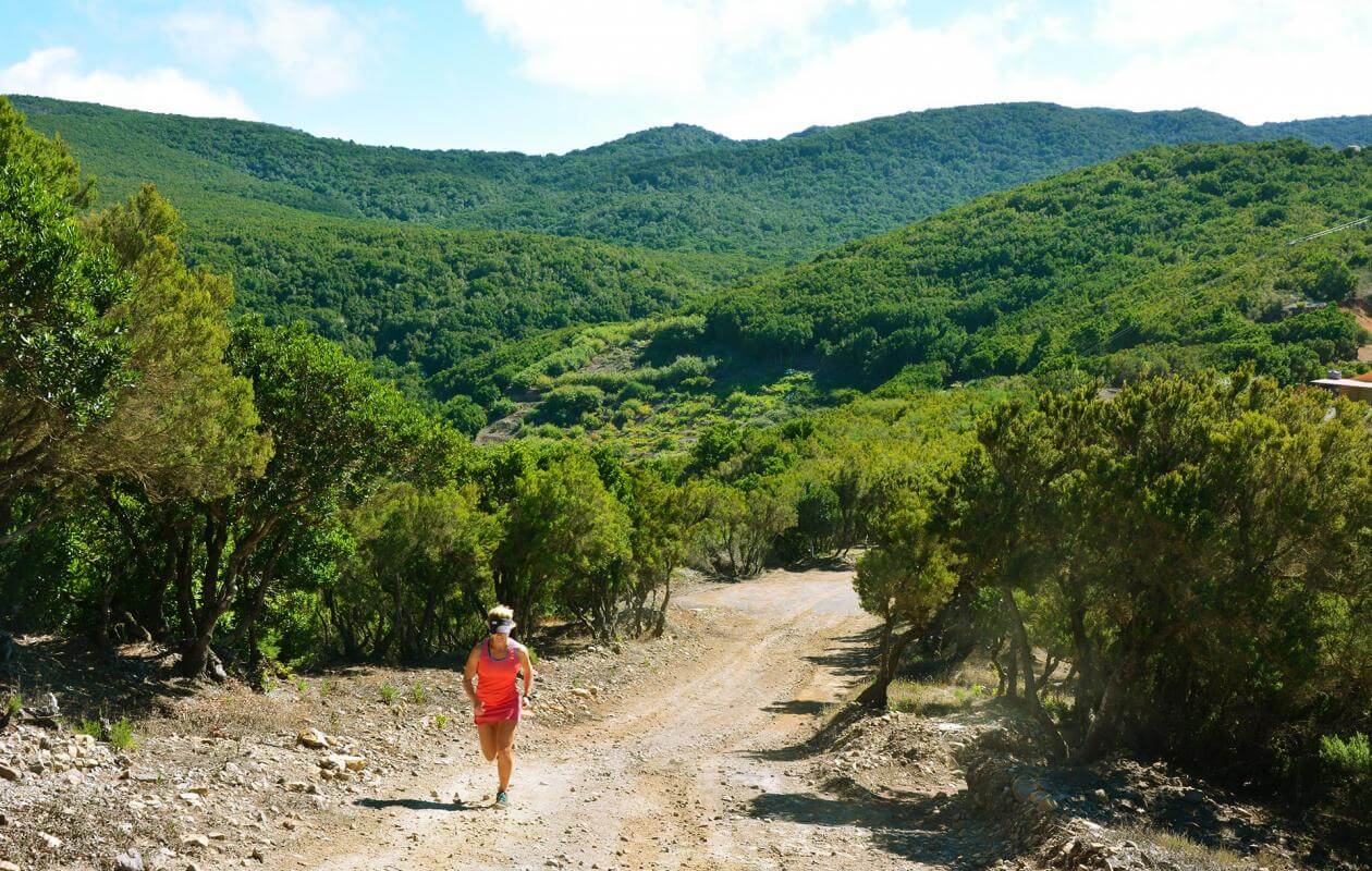 Valle Gran Rey-Trail