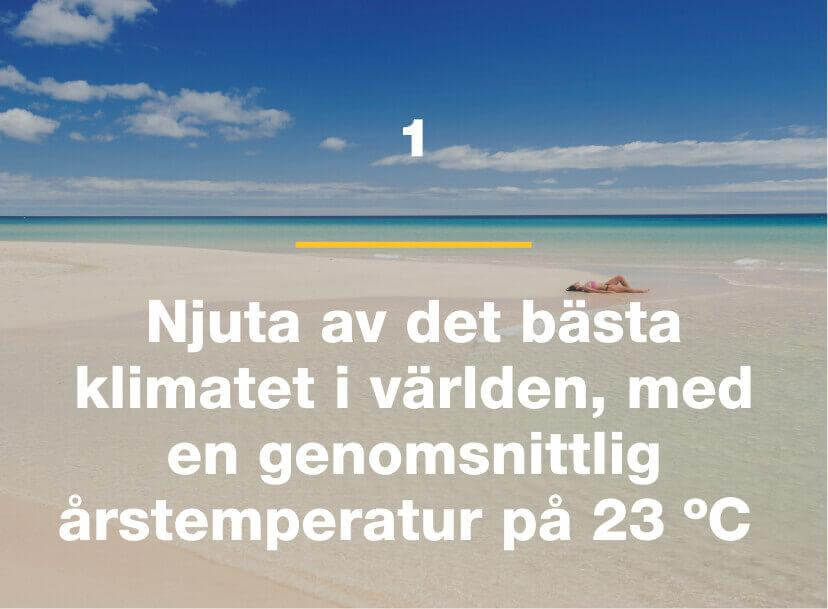 Njuta av det bästa klimatet i världen, med en genomsnittlig årstemperatur på 23 ºC.