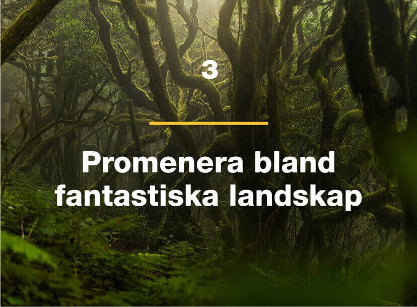 Promenera bland fantastiska landskap.